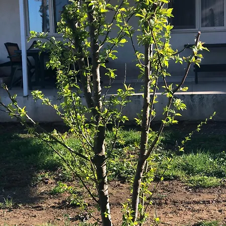 Polonezkoey Butik Bahceli Ev Dom wakacyjny Stambuł